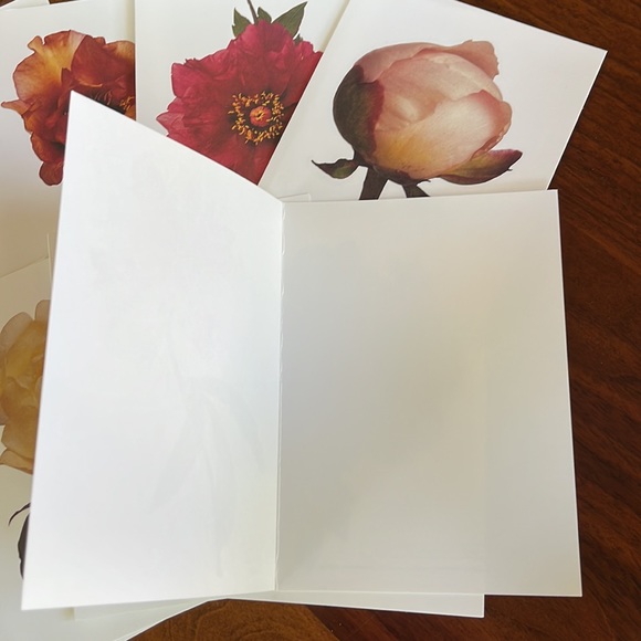 RARE MARTHA STEWART LIVING SET OF 14 PEONY CARDS AND ENVELOPES - BEAUTIFUL! - Picture 5 of 12